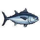Bluefin