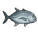 Trevally