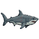 Megalodon