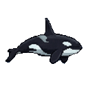 Orca