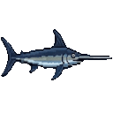 Swordfish