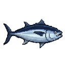 Yellowfin